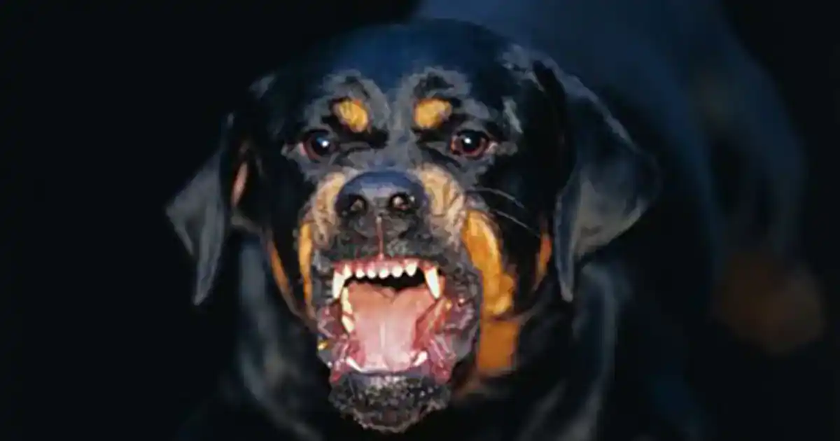 El hecho sucedió el pasado lunes 1° de enero en Managua.