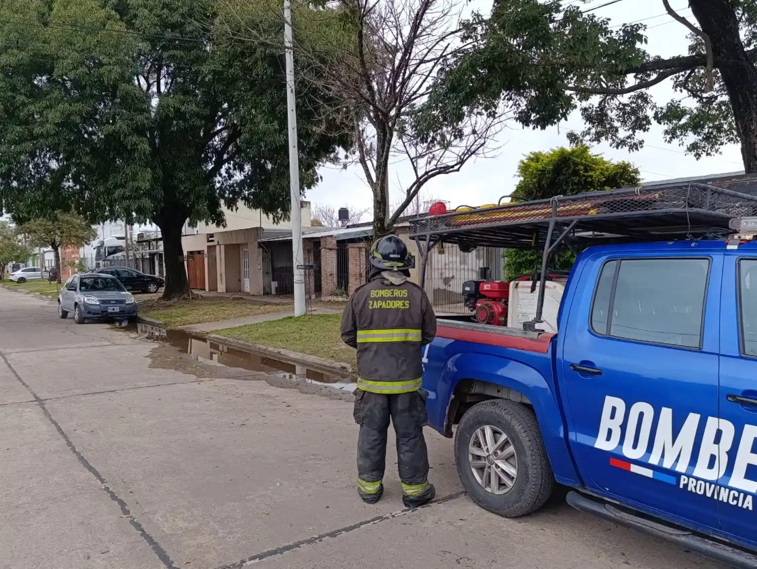 rescate gato bomberos - 2
