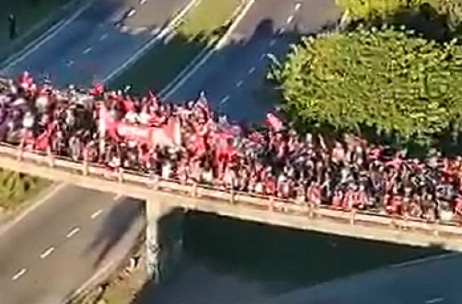 Video: miles de hinchas de Colón festejaron el título en una caravana sin distanciamiento ni cuidados sanitarios