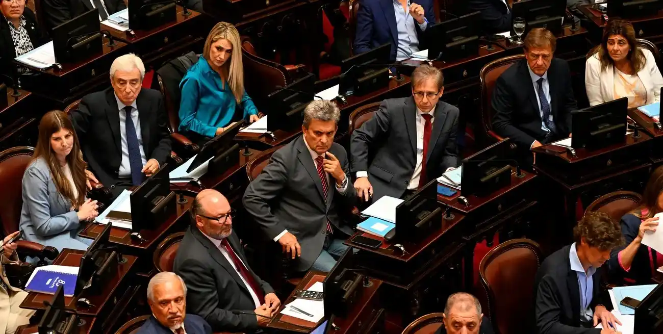 El gobierno nacional logró, a través del Congreso, suspender las elecciones PASO en 2025. Foto: Juan Foglia / NA.
