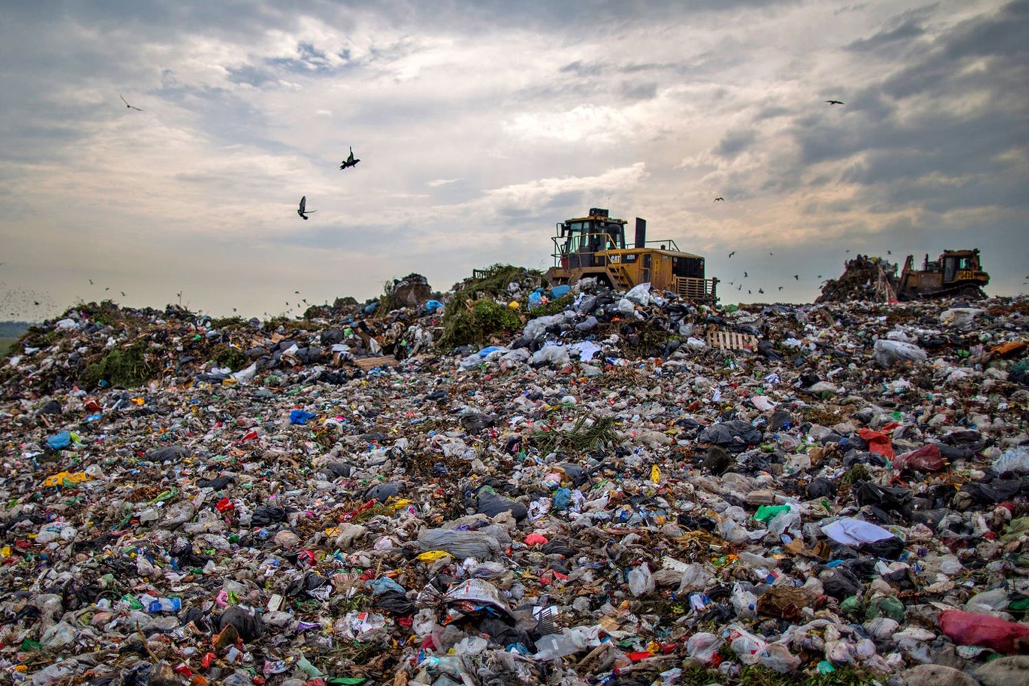 Ejes  para enfrentar la crisis climática