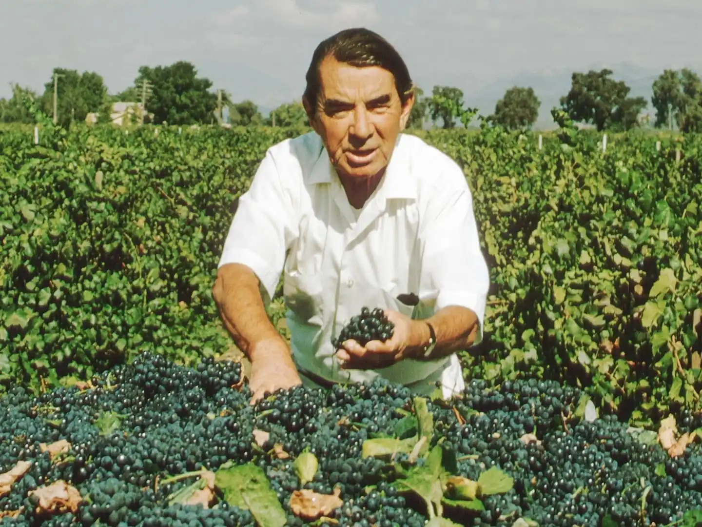 Un ruso bien revolucionario.