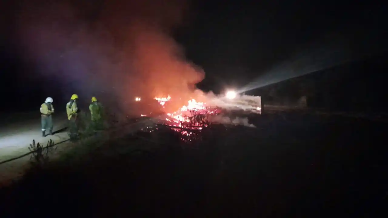 Bomberos Voluntarios trabajó en un incendio por quema de residuos de eucaliptos