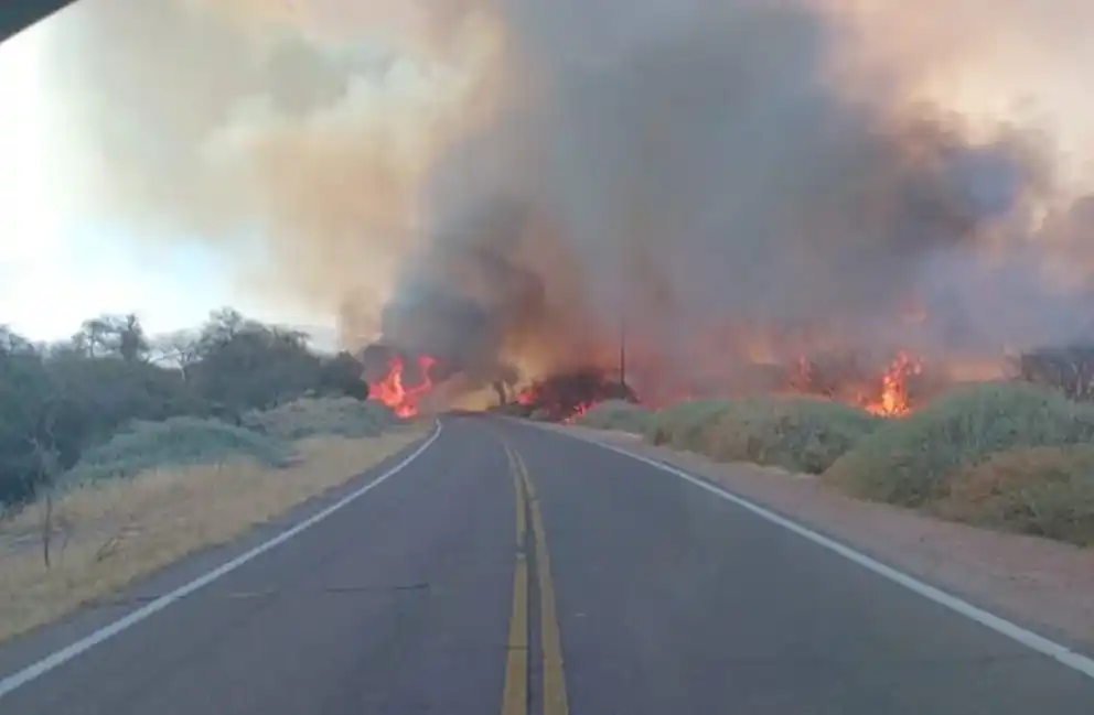 Ante la magnitud del desastre, el Concejo Deliberante de Cafayate declaró el Estado de Emergencia Ambiental por Incendios Forestales por 18 meses.