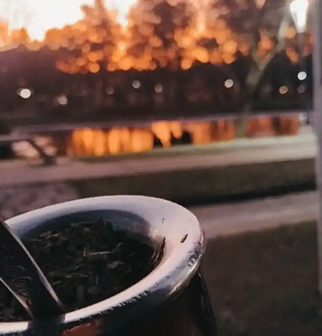 Creció el consumo de yerba mate en el primer trimestre del año