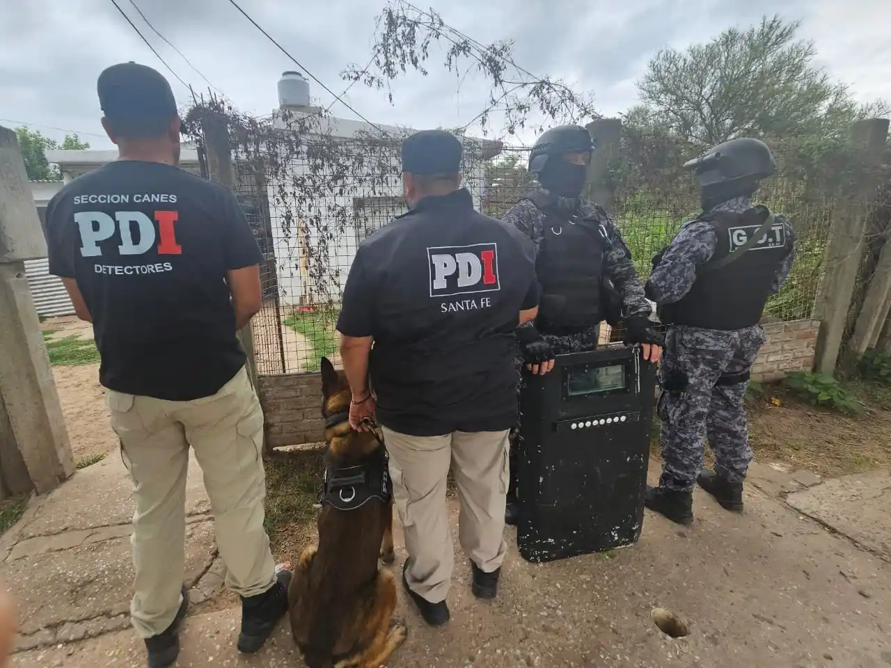 Fue a comprar droga, lo atacaron dos dogos y terminó a los tiros