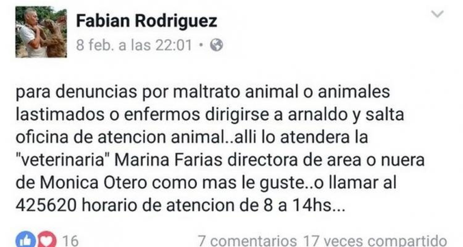 Una veterinaria para castrar gratuitamente a las mascotas