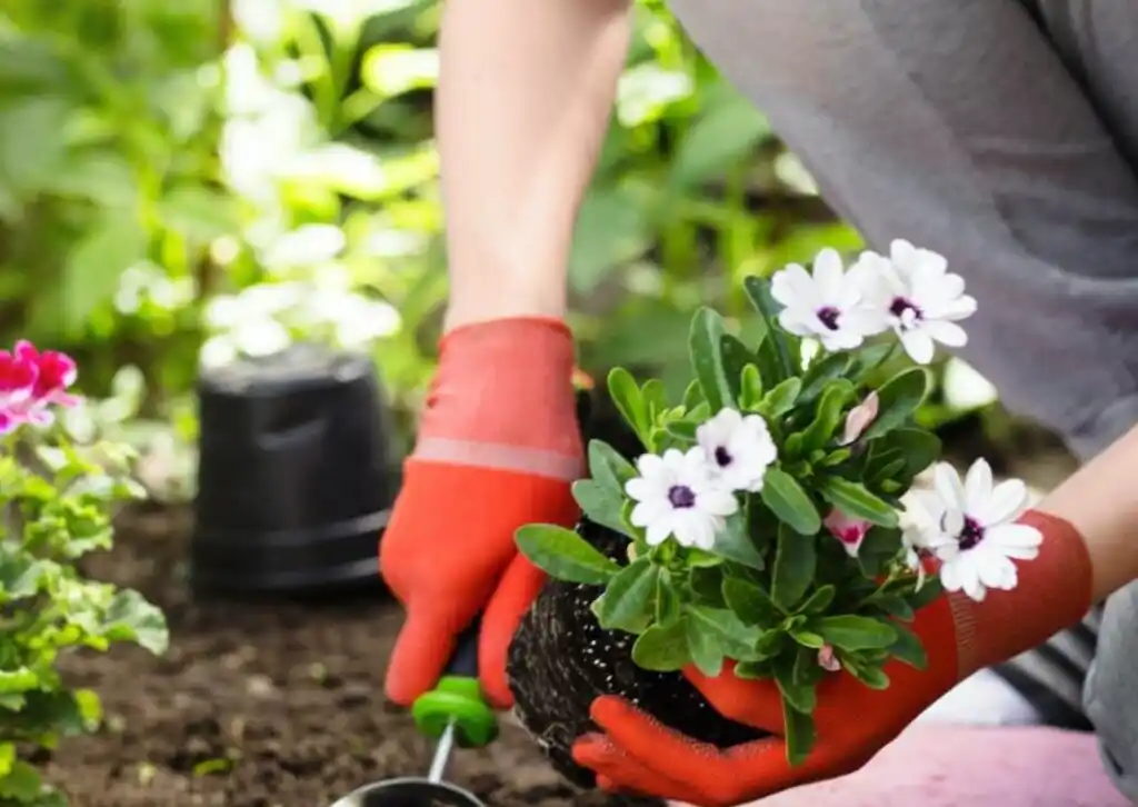La escuela municipal de jardinería y agroecología abre sus inscripciones