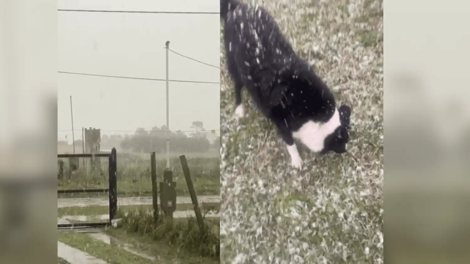 Imagenes de la gente