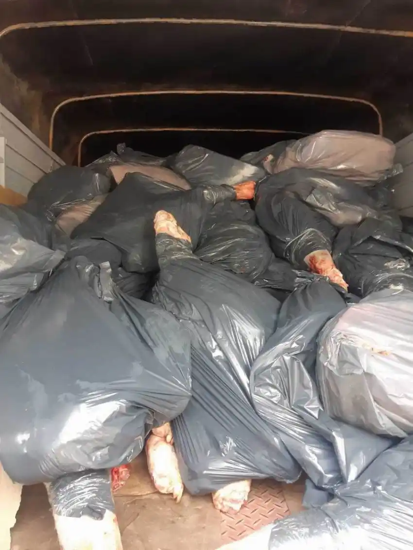 Más de 3.600 kilos de carne transportada sin refrigeración
