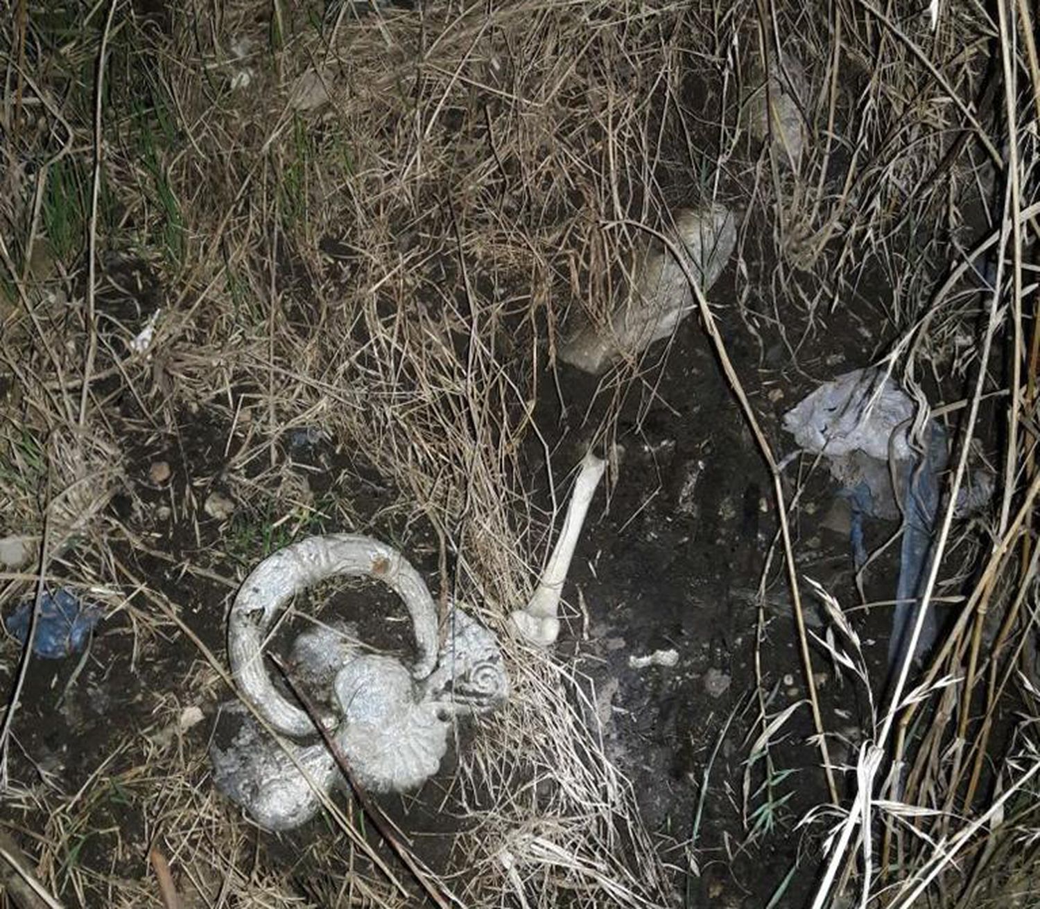 Preocupación de vecinos por la aparición de restos humanos en el ex basurero de Vela