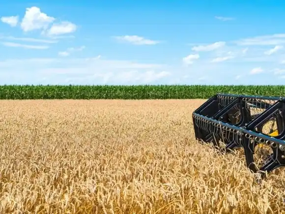 Soja: prevén márgenes hasta 15% menores que en la campaña 2023/24