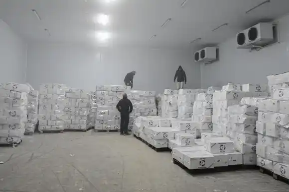 Provincia intensifica los controles y decomisos contra la pesca ilegal