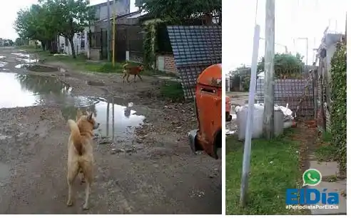 #PeriodistaPorElDía: El agua y una obra los dejaron sin vereda 