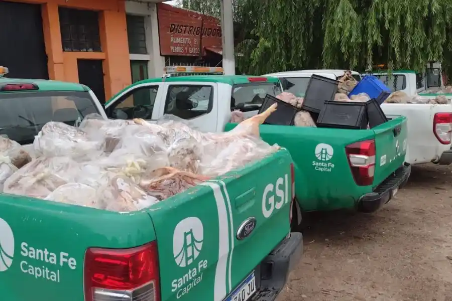 Incautaron más de 6 toneladas de carne de vaca, cerdo y chivo en mal estado en Santa Fe