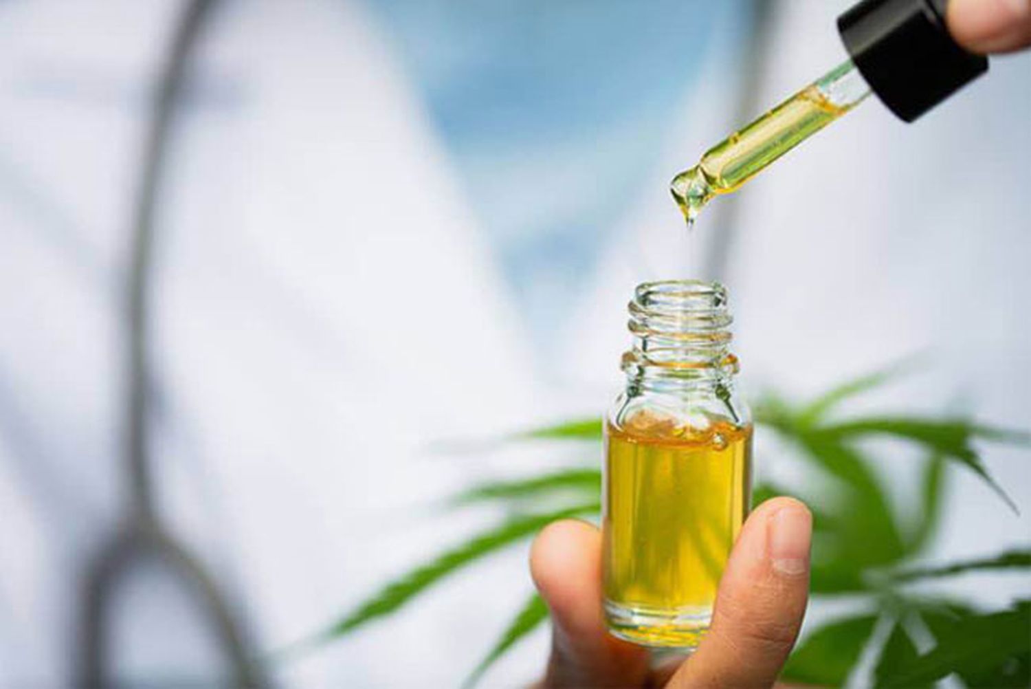 Growshops de Buenos Aires y una iniciativa solidaria: Intercambiarán aceite de cannabis por alimentos no perecederos