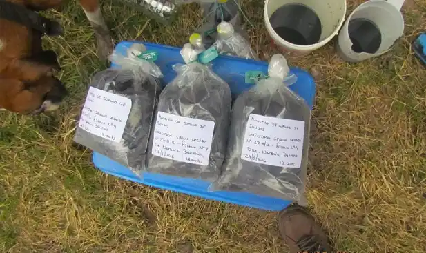 Denuncia penal por contaminación con desechos de curtiembre