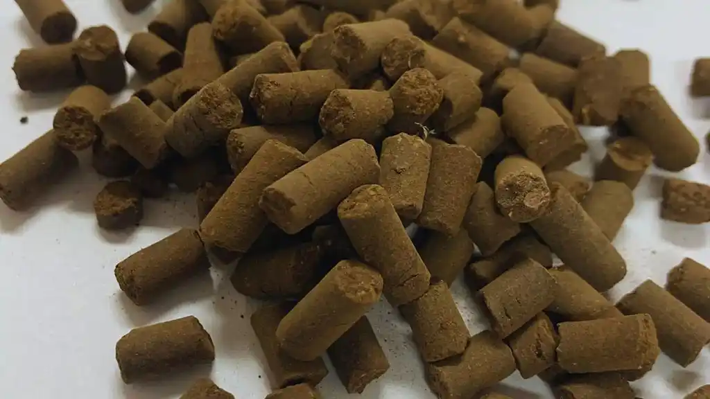 Desarrollaron un biofertilizante a base de compost en formato de pellet