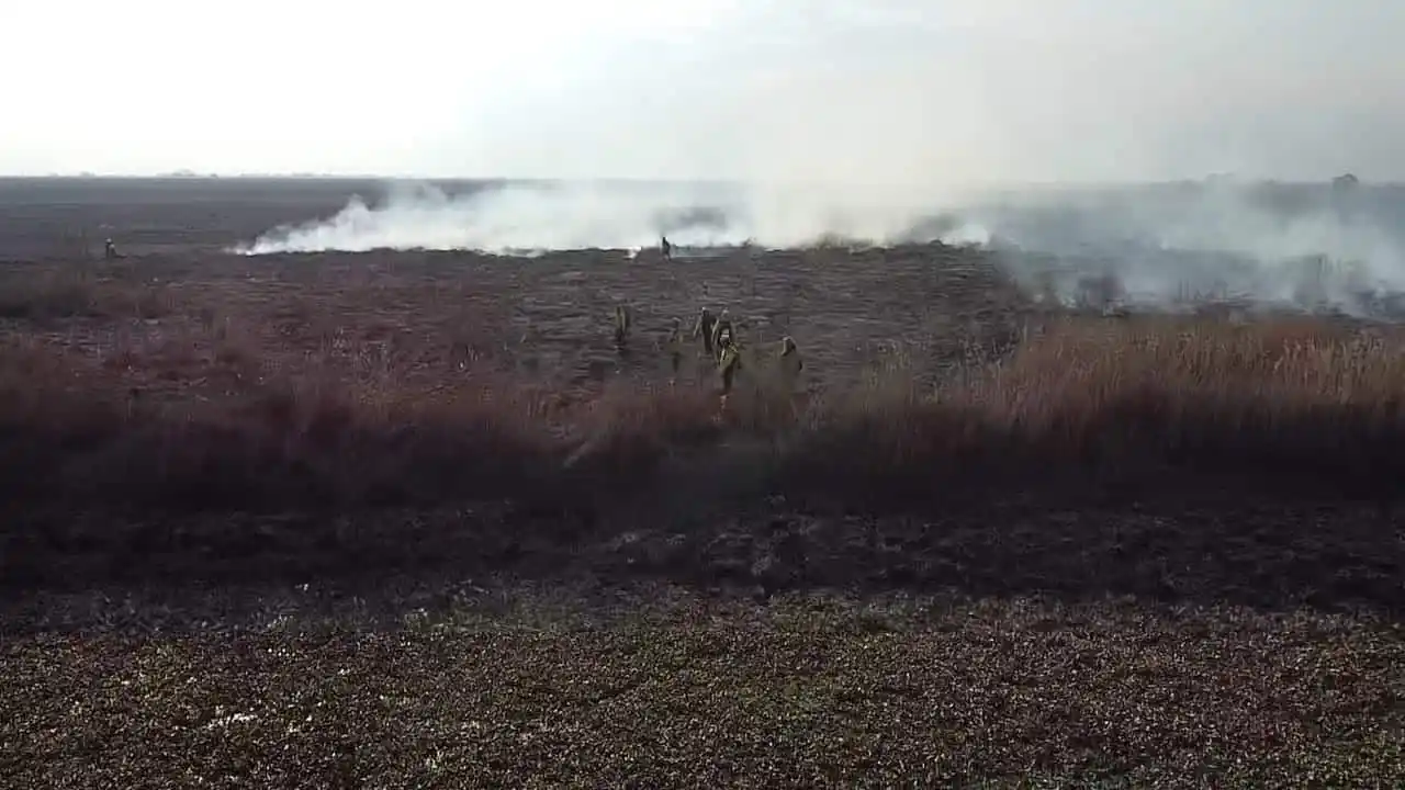 Siguen los trabajos de combate de incendios en islas Lechiguanas