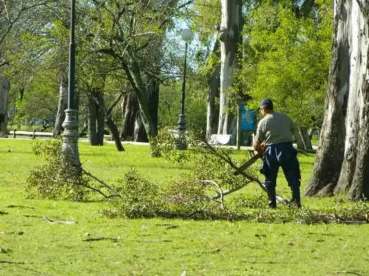 Los vientos llegaron a los 80 kilómetros por hora, pero no se registraron destrozos importantes en la ciudad 