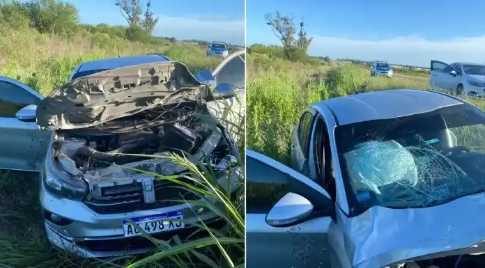 Peligro en Ruta 12: un auto chocó un ciervo y terminó en la banquina