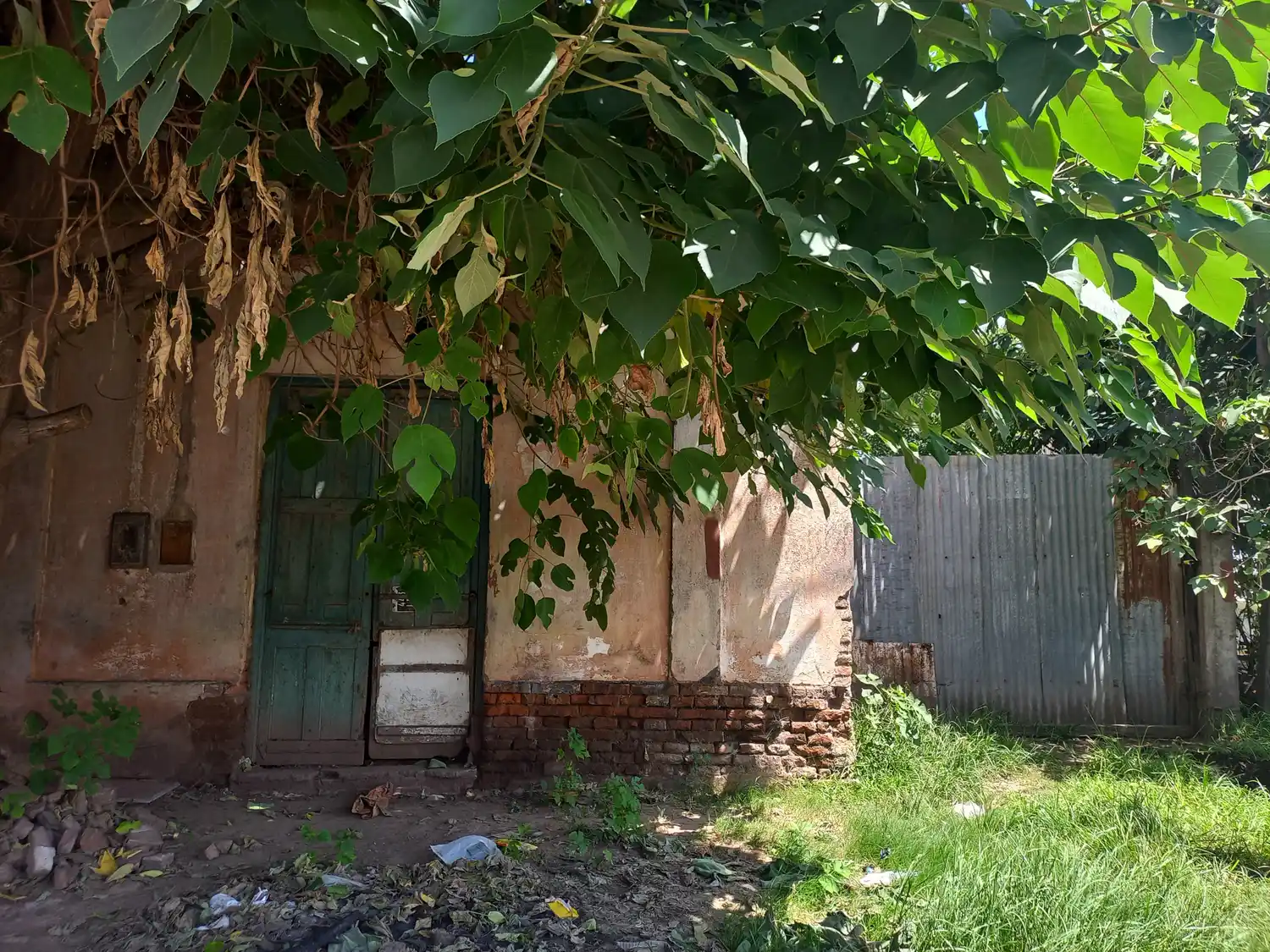 La casa del hombre atacado por sus perros.