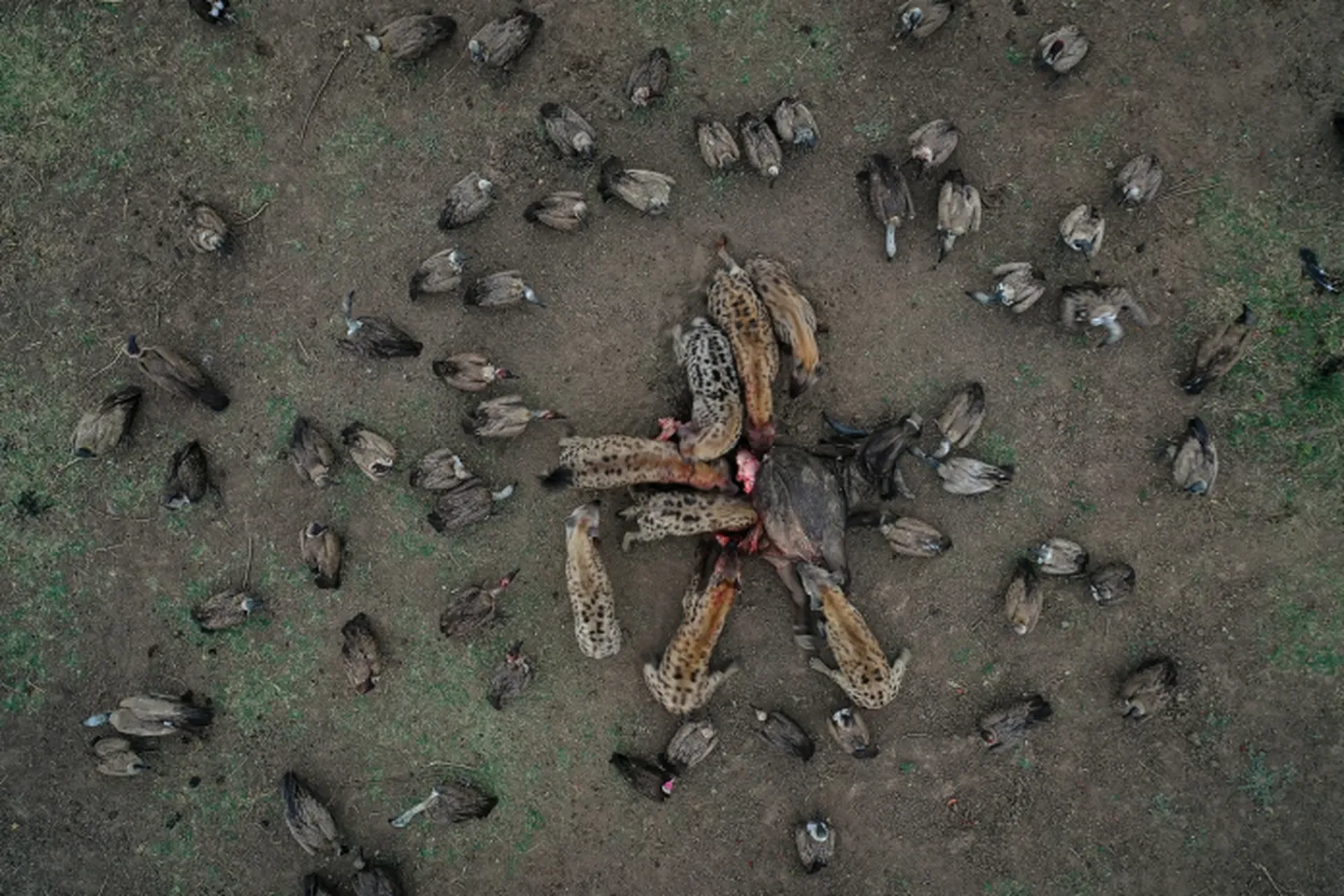 Fotos desde drones