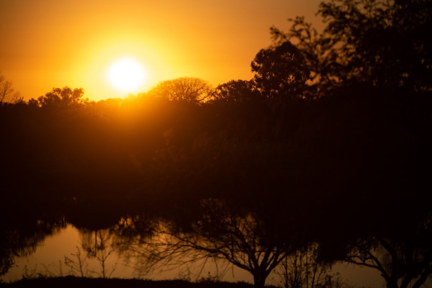 Sin lluvias a la vista: comienza una semana con buen tiempo en la ciudad