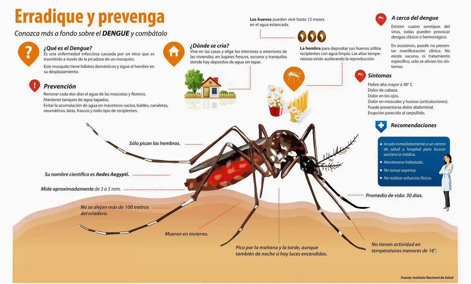 Caso de dengue importado en Paraná: Realizan bloqueo epidemiológico
