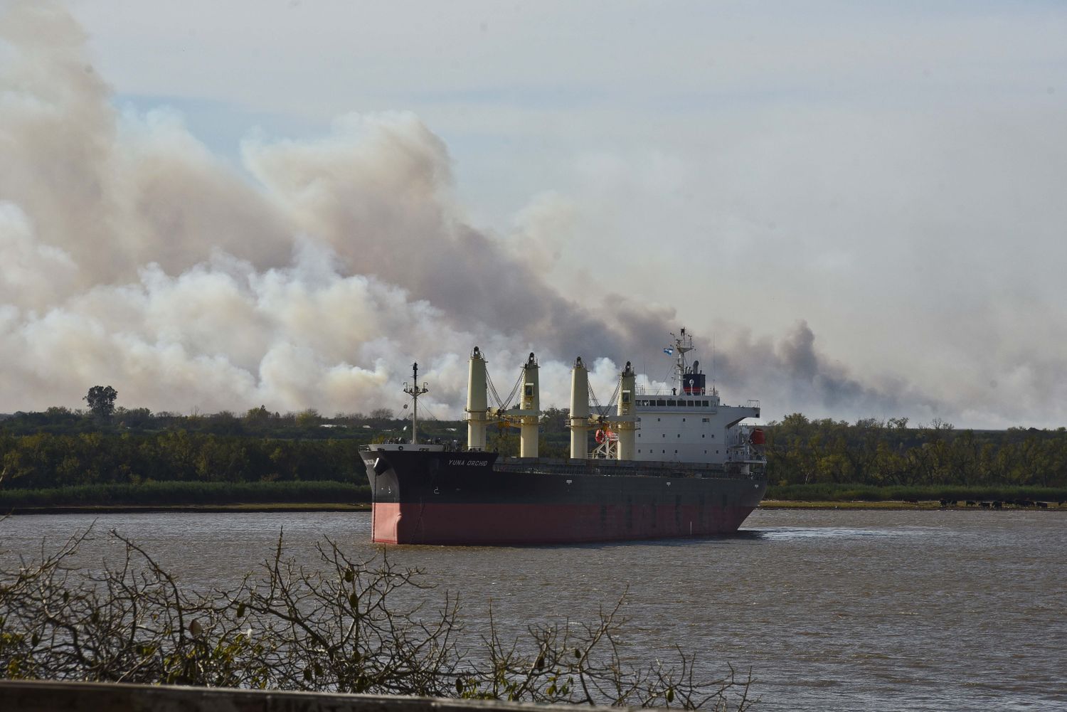 Ordenan que declaren otros siete propietarios de la zona de islas del Delta de Paraná por incendios