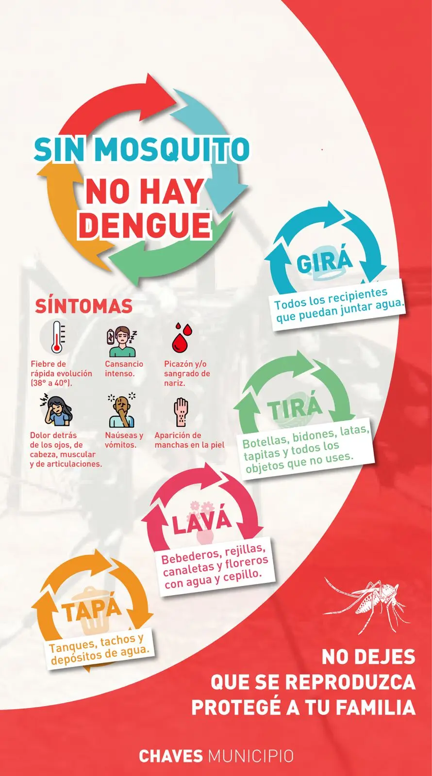 La importancia de la prevención del dengue y cómo podemos prevenirlo