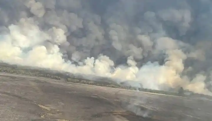 Incendios: se combaten focos activos en Corrientes, Río Negro y Misiones