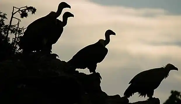 Vence el plazo para que la Argentina presente la oferta a la Corte de EEUU