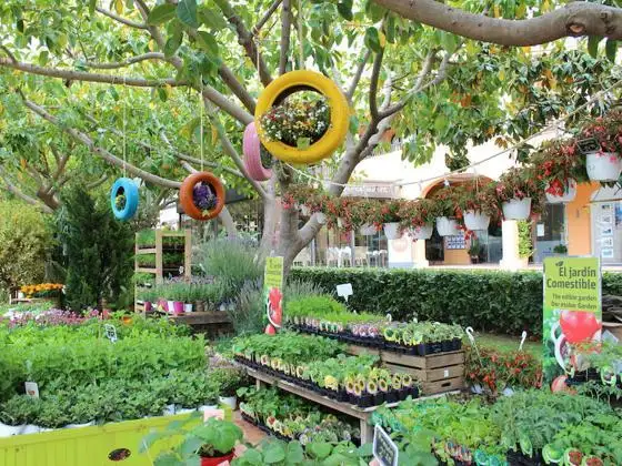 Cómo diferenciar productos ecológicos y bio
