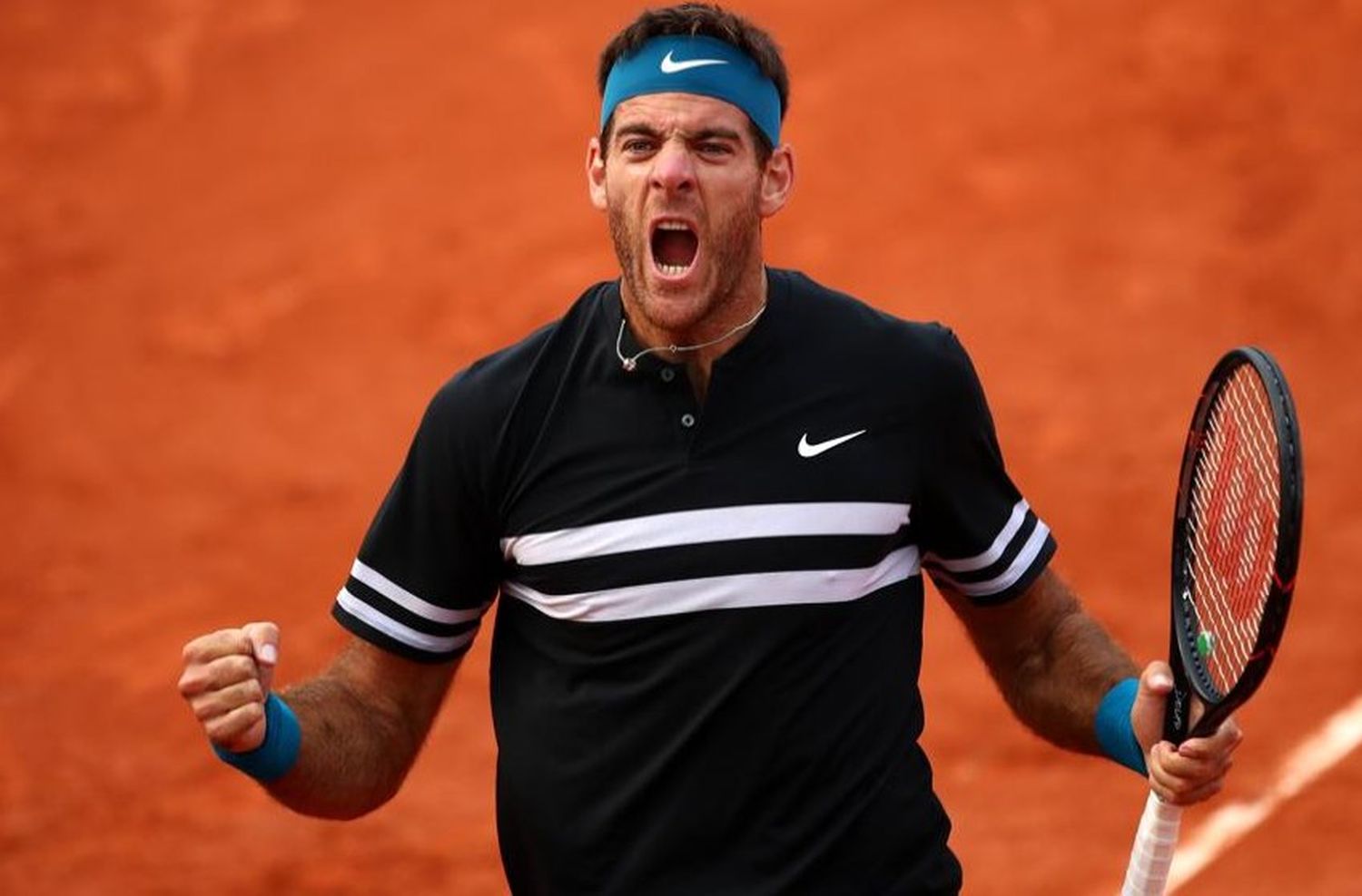 Roland Garros: Del Potro y Schwartzman en cuartos de final