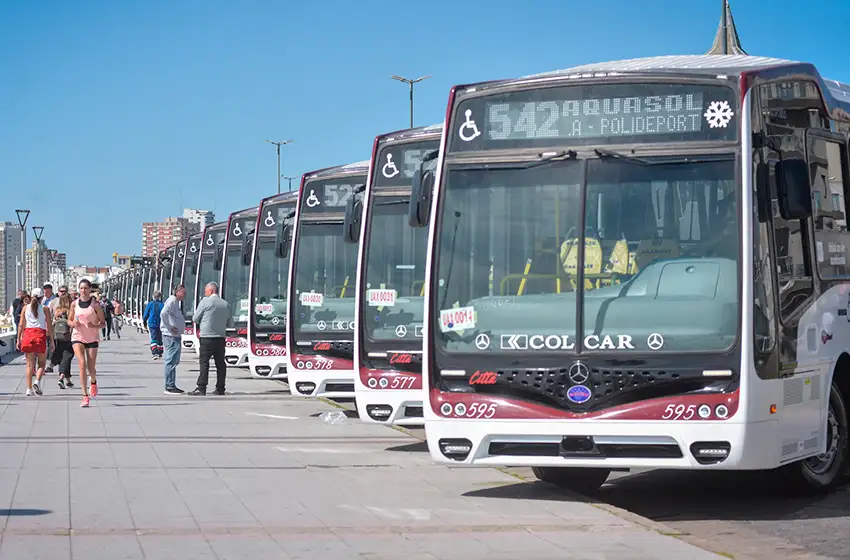 Colectivos marplatenses