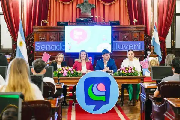 Se realizó la primera sesión del Senado Juvenil
