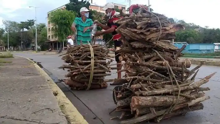 EL COLMO: la falta de gas en Venezuela también causa deforestación y daño ambiental