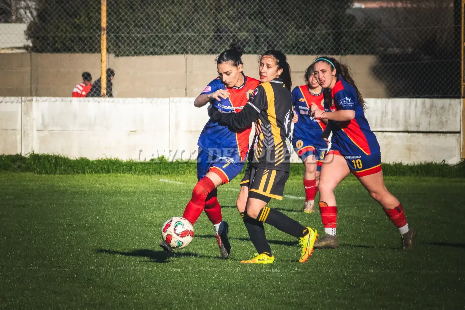 femenino cole-barra - 6