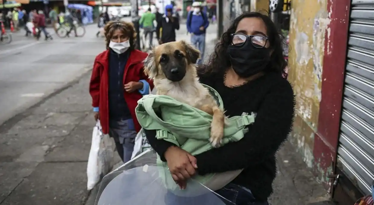 La desocupación en Chile se ubica en 12,3% en el trimestre julio-septiembre