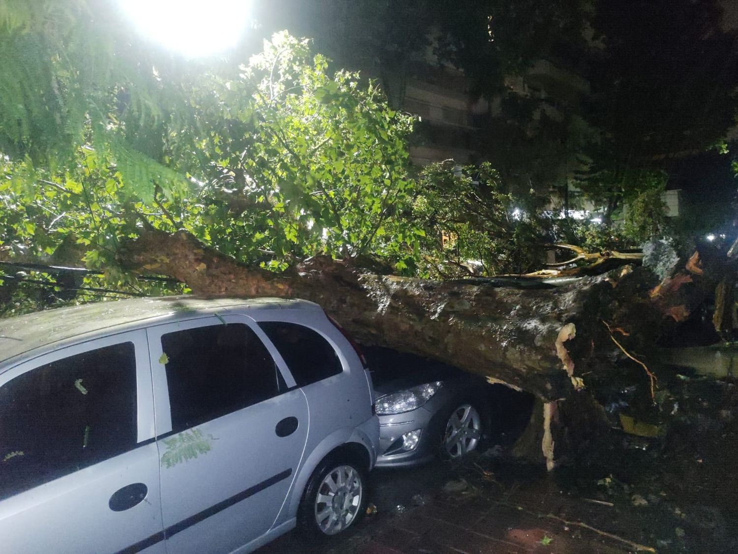 El rescate se llevó a cabo cerca de las 3 de la madrugada.