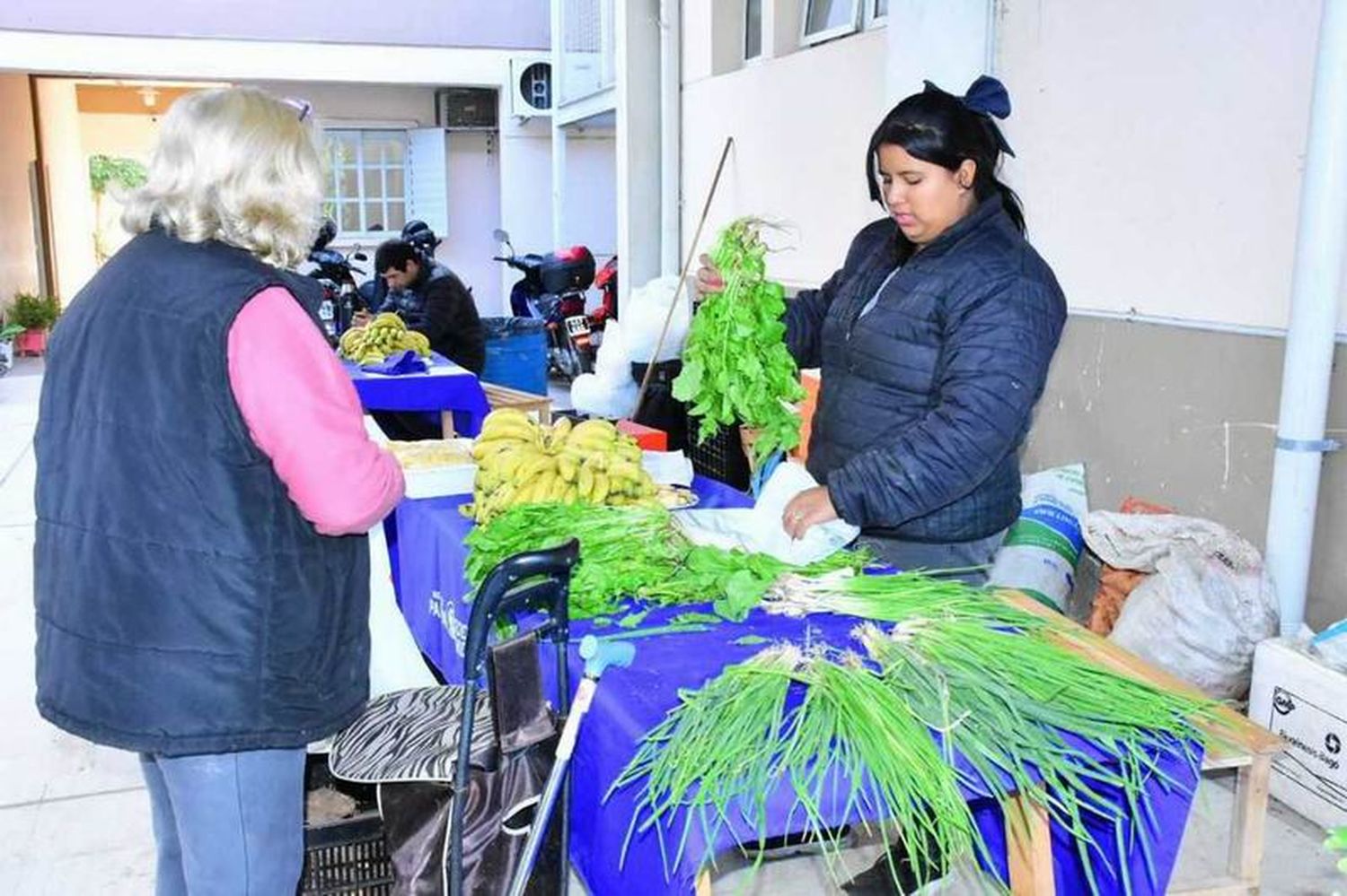 Con el otoño, llegaron los pomelos a la feria del PAIPPA