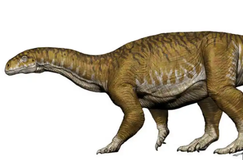Hallaron al dinosaurio gigante más antiguo del mundo