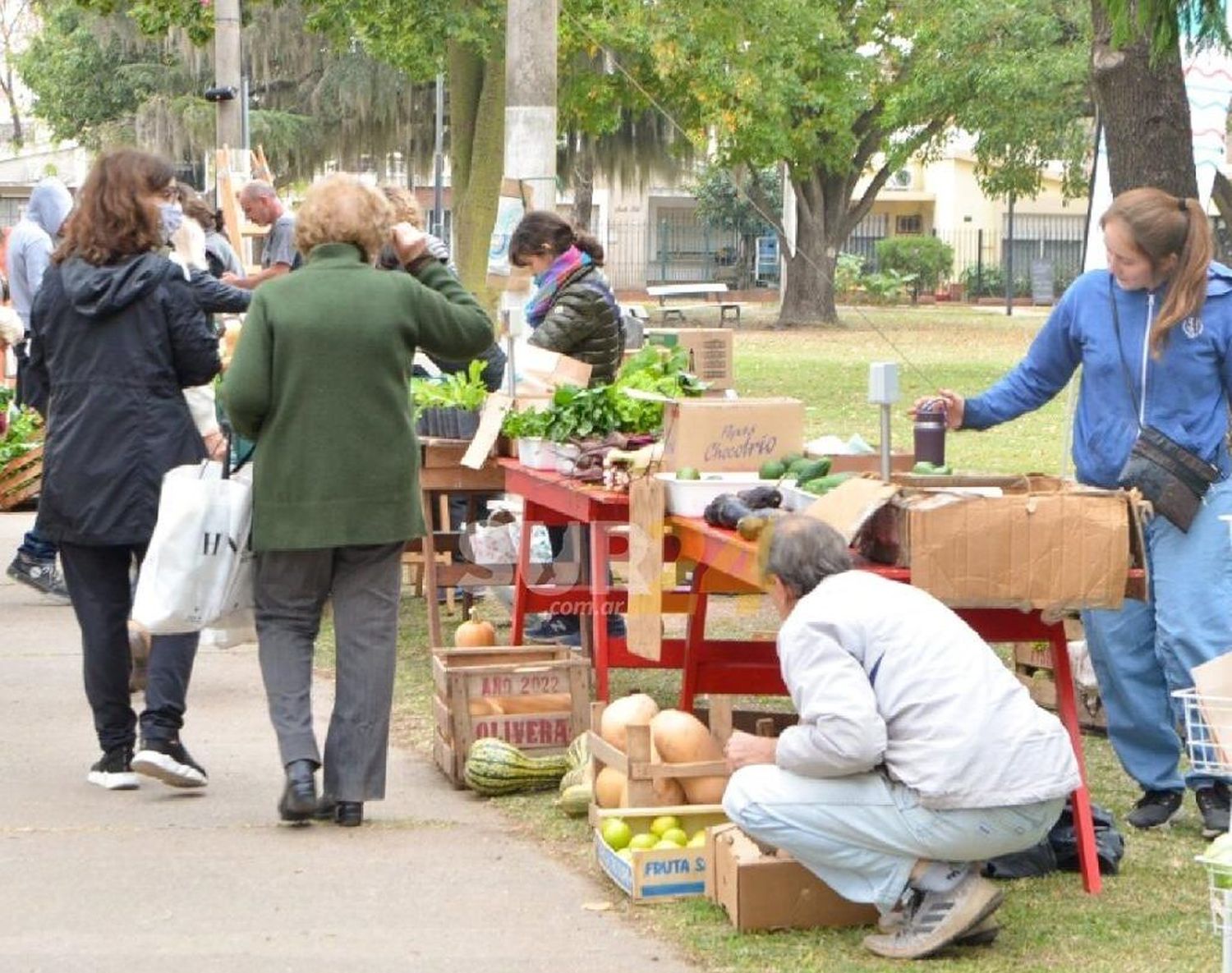 “Huerteros en tu barrio” lleva sus verduras a plaza Italia