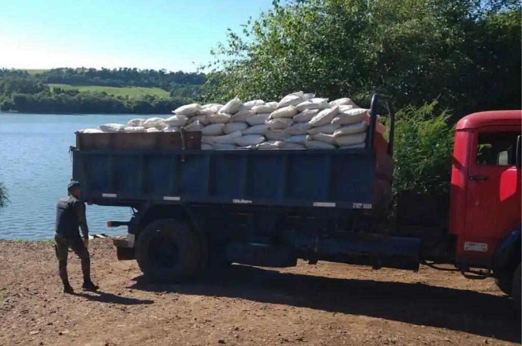 Incautan más de 9,5 toneladas de granos en Misiones