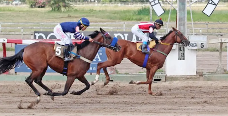 Jueves 6: Actividad Hipódromo de La Plata