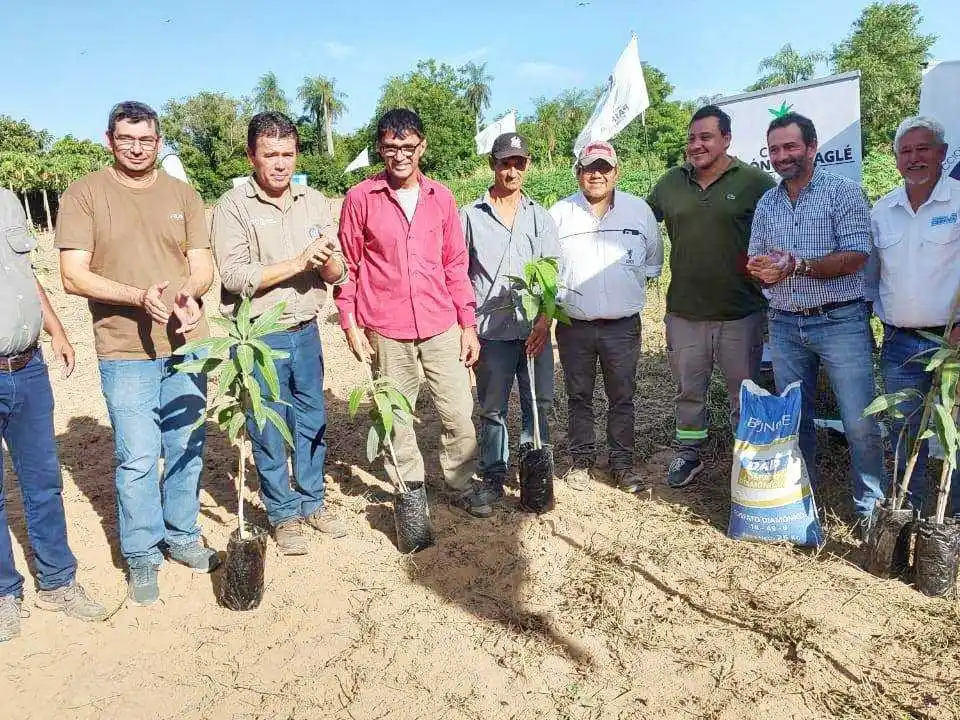 Jornadas técnicas sobre el cultivo de mango
organizadas por el Gobierno de Formosa