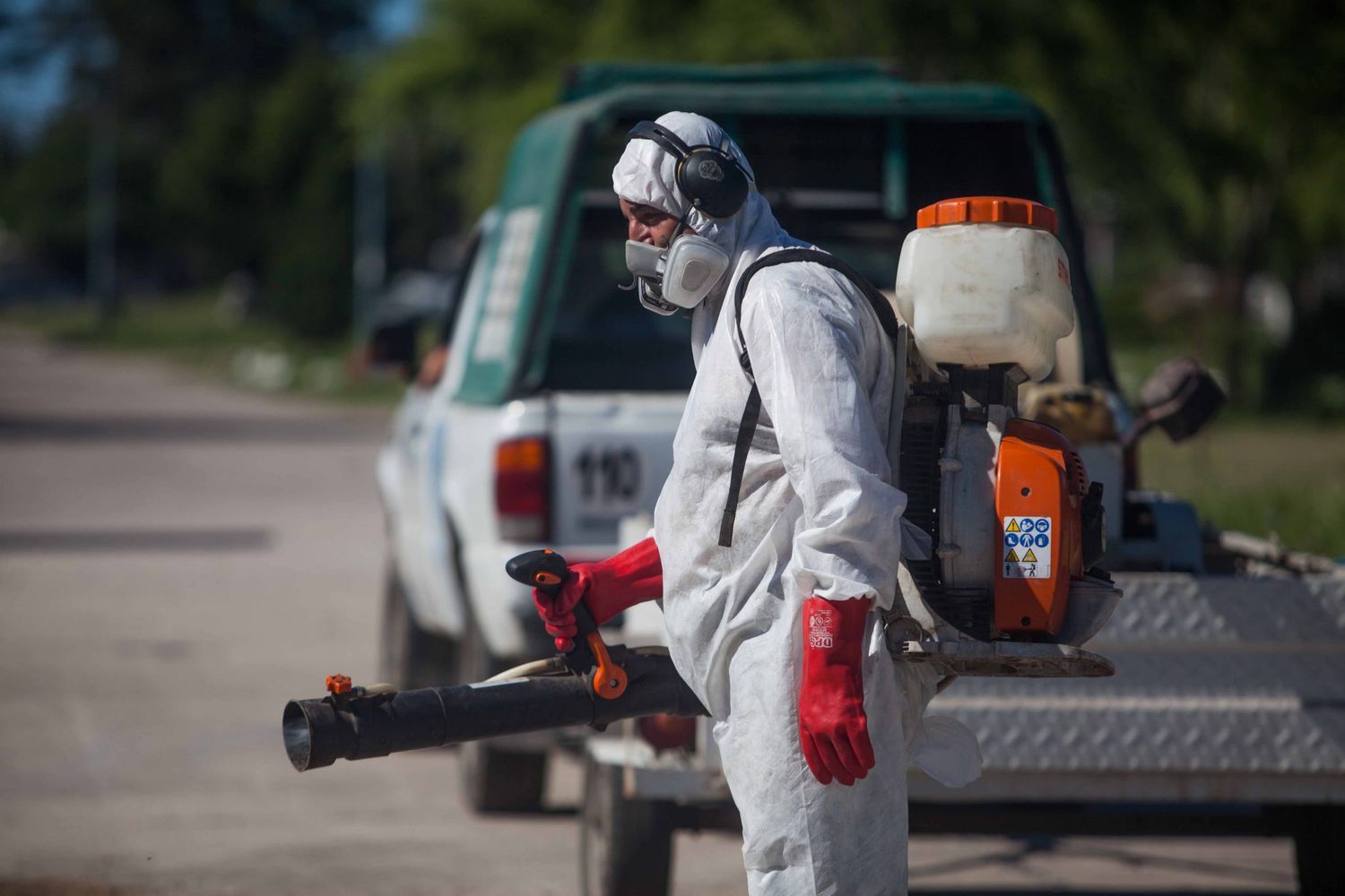 El Municipio asegura que hay una "invasión" de moscas en la ciudad