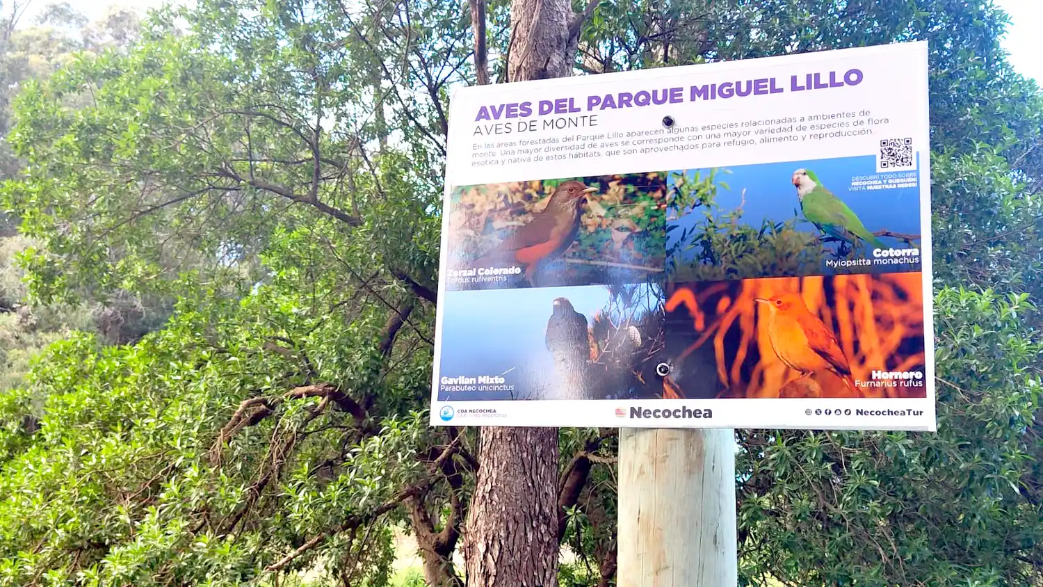 Carteles. Con información sobre aves