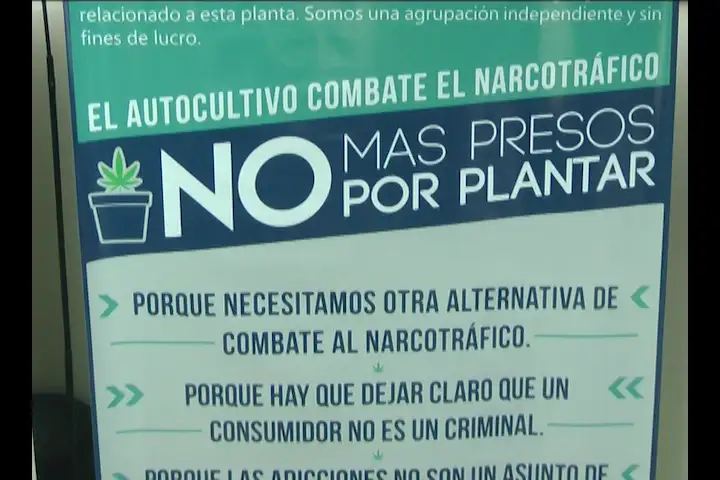 IV Seminario Internacional de Cannabis Medicinal